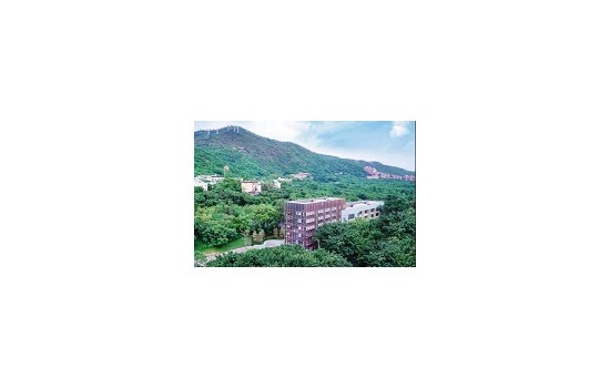 香港圣保罗书院小学入学申请面试模式是怎样的？重点把握哪些方面